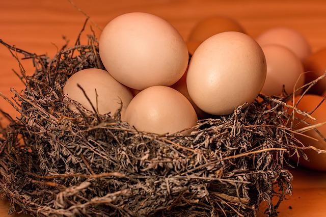 12 oeufs