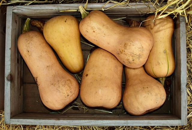 Butternut
