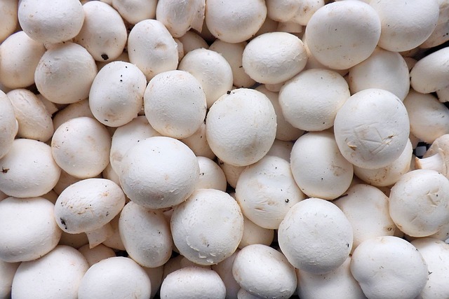 Champignons blancs