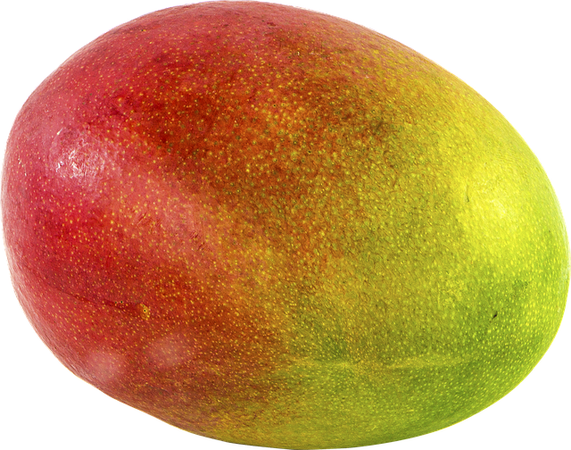 Mangue bio