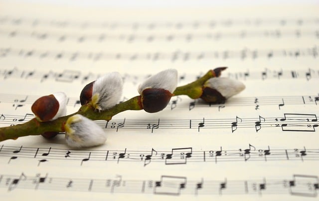 Cours de chant