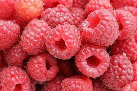 Framboise 125g