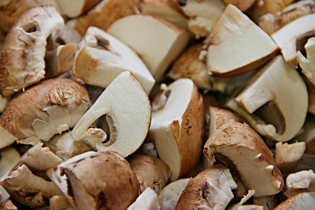 Champignon brun de Paris Bio