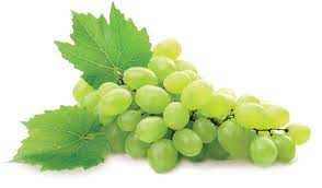 Raisin Blanc Chasselas Bio