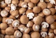 Champignons  500g