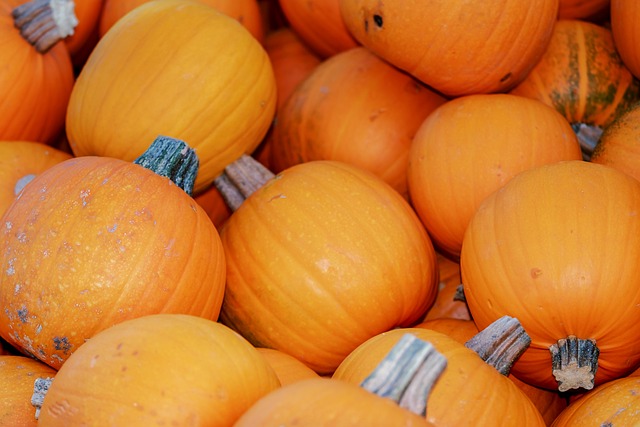 Courge