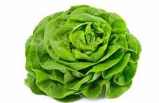 Salade pièce