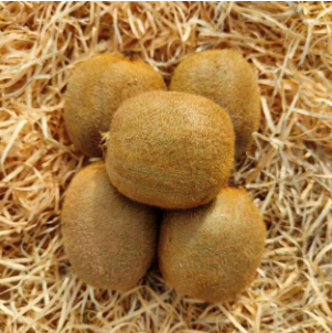 Kiwis gold - 4pces