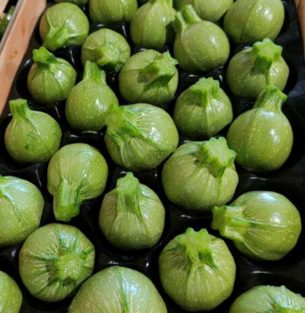 Courgettes Rondes Kg