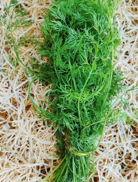 Aneth bouquet