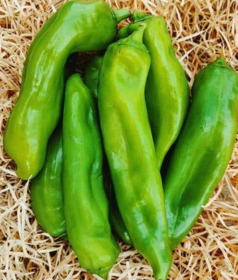 Poivrons Kg