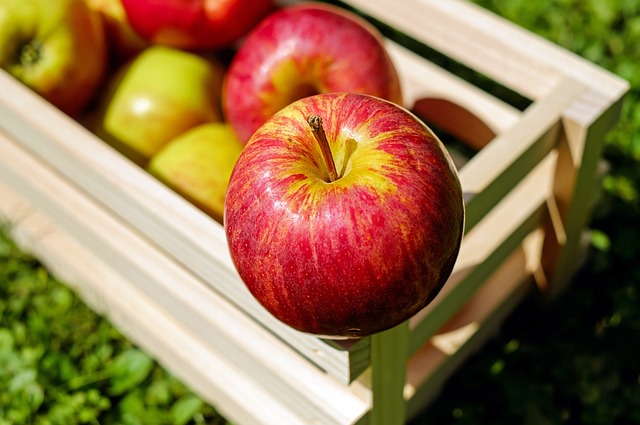 Pomme Reine de Reinette Kg