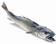 Colin 20€/kg