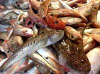 Soupe de poisson 2 kg (poisson de roche)