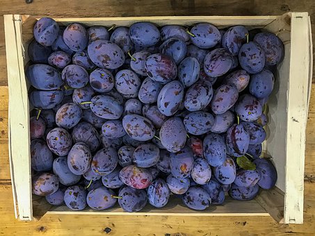 Prune quetsche Kg