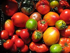 Caissette tomates anciennes mélangées 4 Kg