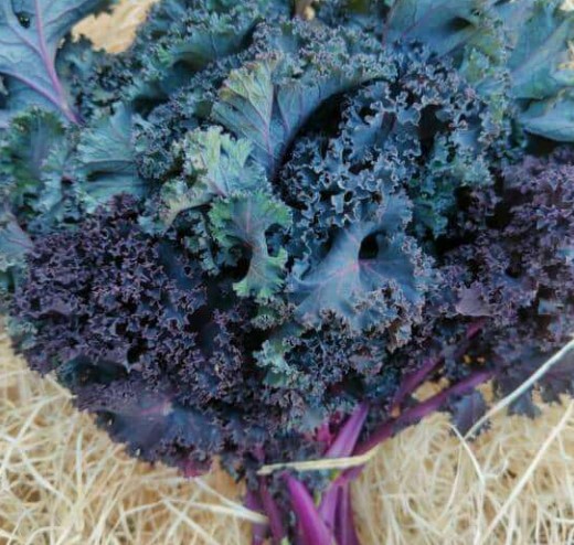 Chou Kale