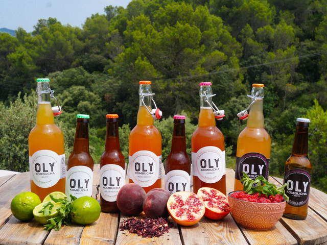 24 bouteilles 33cl (recettes panachées)
