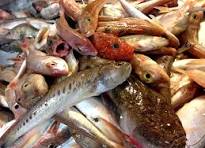 Soupe de poisson artisanale