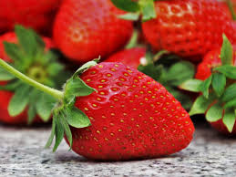 Barquette de fraises 500G