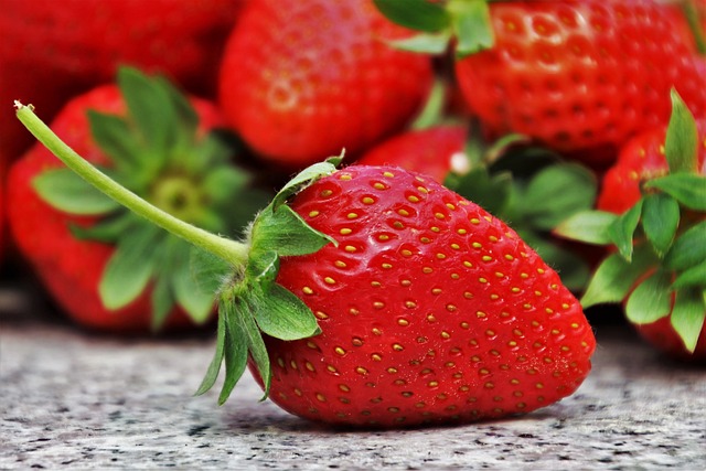 Fraise plein champs 500g