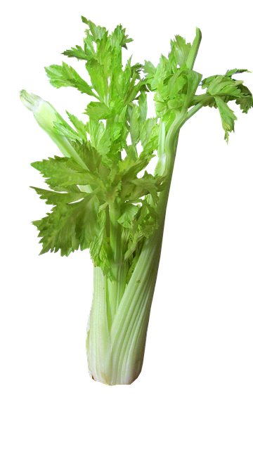 Céleri