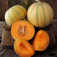 Melon charentais