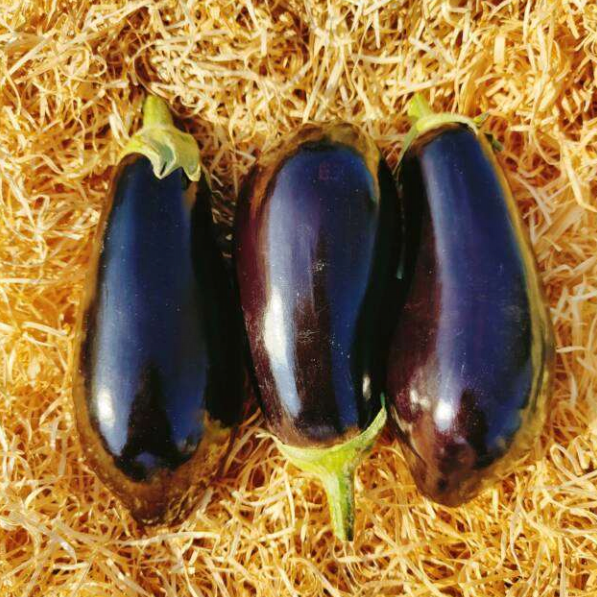 Aubergines 3-4 pces