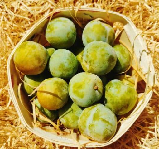 Prunes reine claude 500g