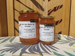 Miel de fleurs en 500g