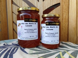 Miel de printemps 500g