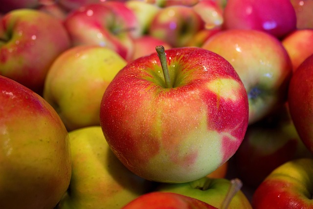 Pomme boscoop Kg