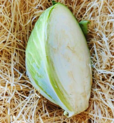 Chou blanc 1/2p