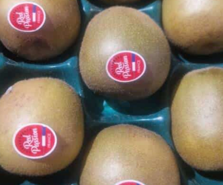 Kiwi rouge