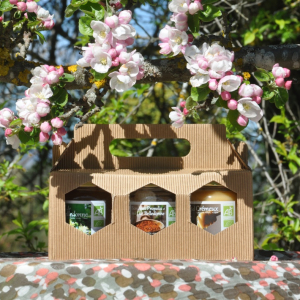 Valisettes 3 pots 250 g