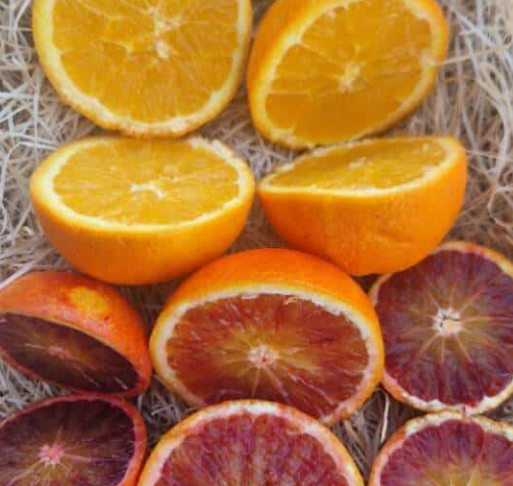 Mixte Oranges (douces, sanguines)