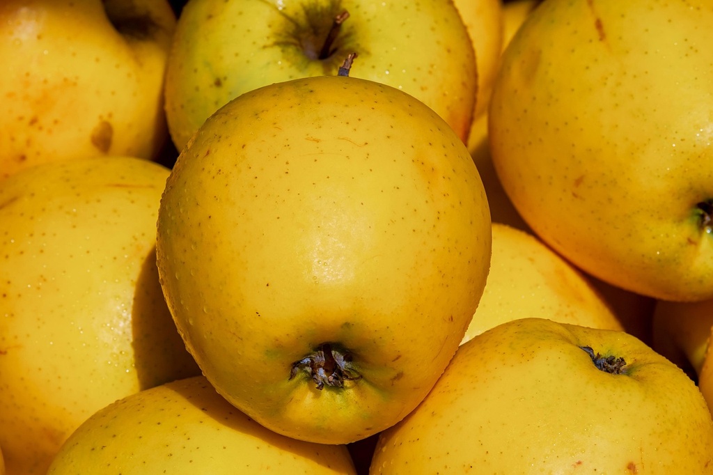 Pomme golden Kg
