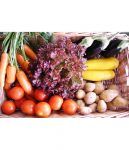 Panier bio 2 pers