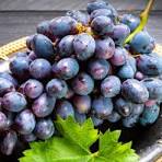 Raisins muscat les 2 kg