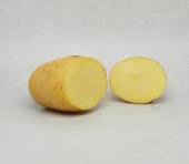 Pomme de terre Agatha 500g