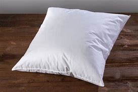 Oreiller plume/Down pillow